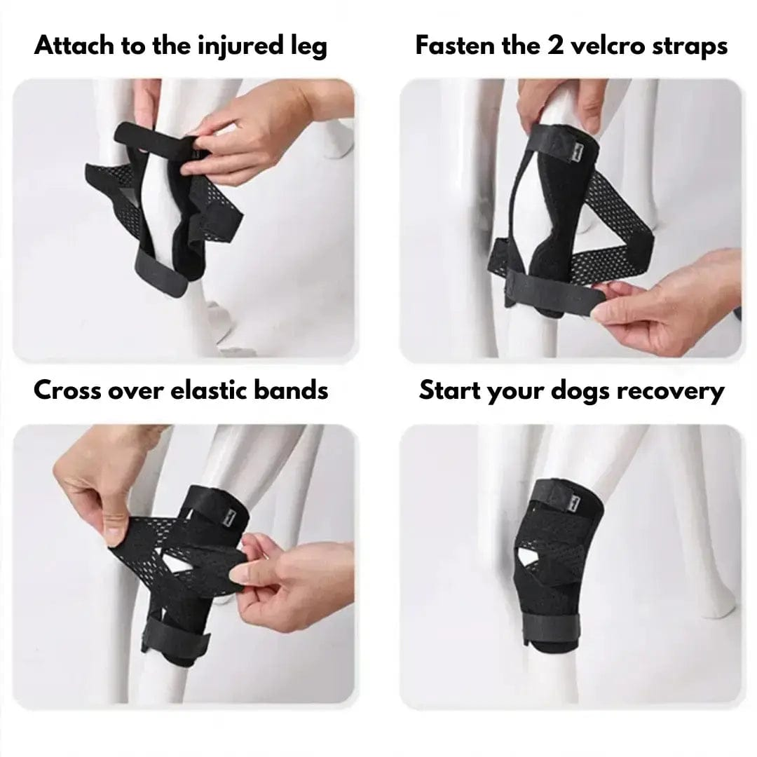 Hock Joint Support Brace