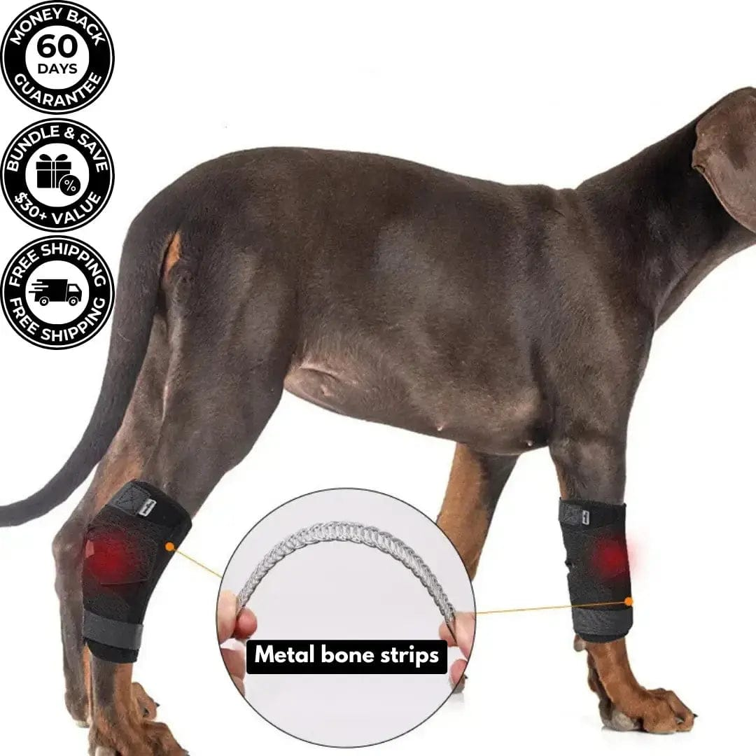 Hock Joint Support Brace