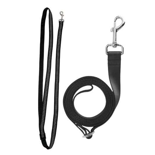 Hands-Free Leash